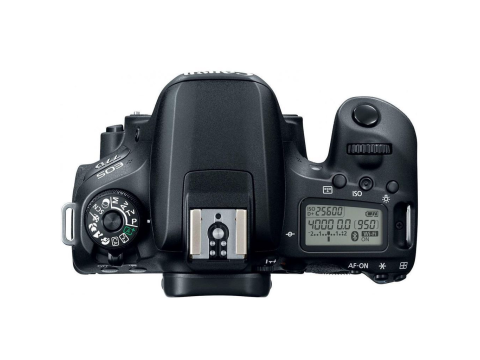 Canon EOS 77D + EF-S 18-55 IS STM + 55-250mm IS STM.Picture4
